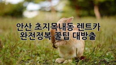 안산 초지/목내동 렌트카 완전정복! 🚗💨꿀팁 대방출